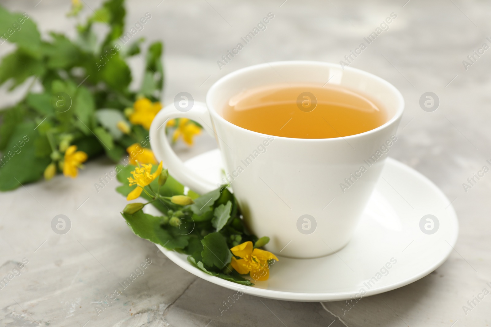 Photo of Cup of aromatic celandine tea and flowers on grey table, closeup