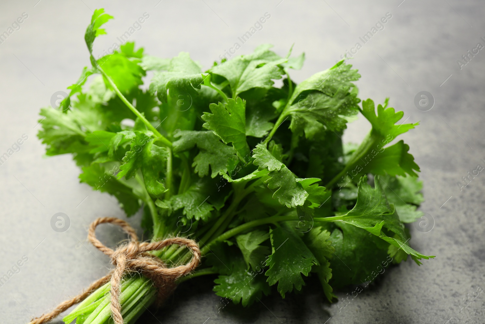 Photo of Bunch of fresh coriander on gray table, closeup