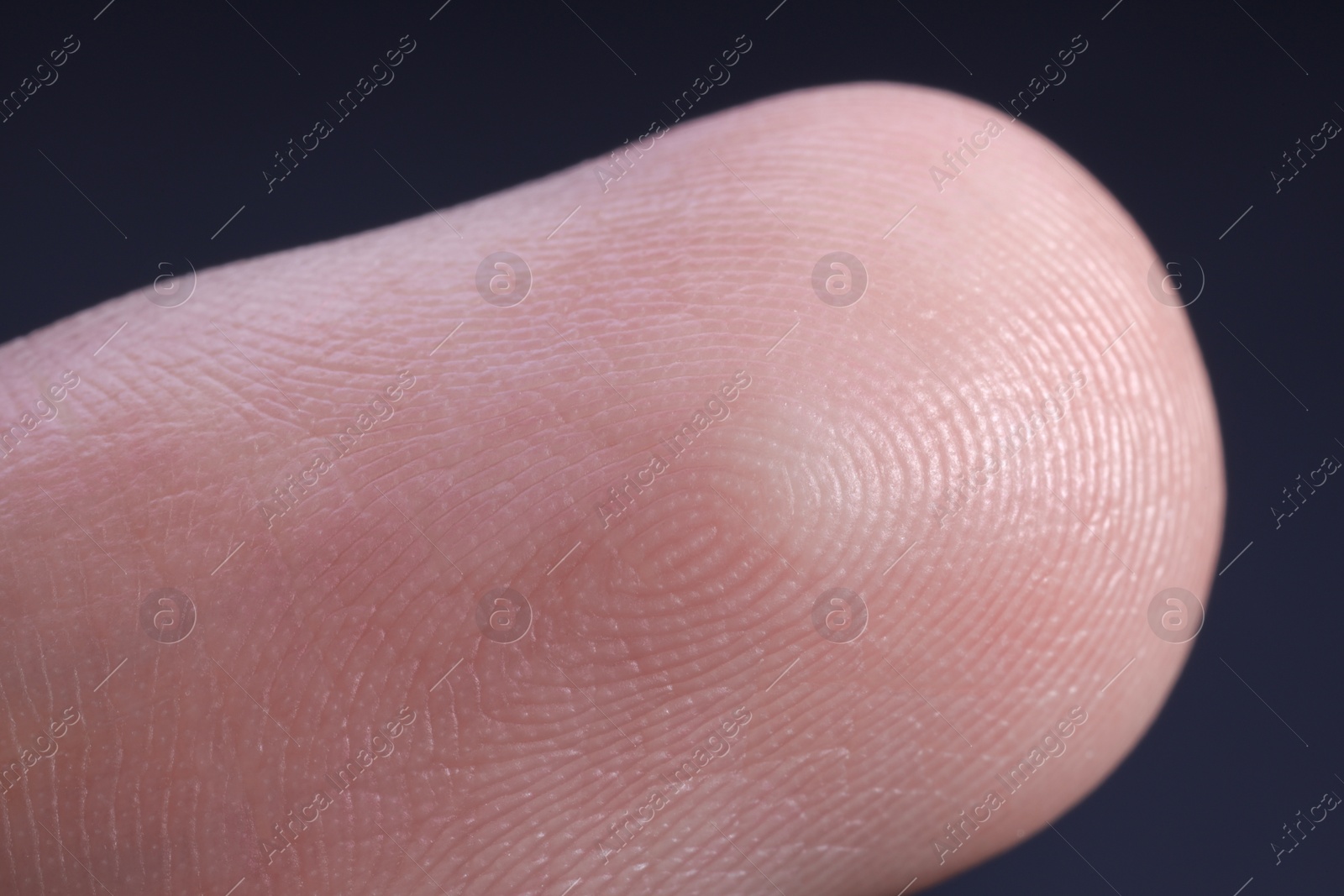 Photo of Finger with friction ridges on dark background, macro view