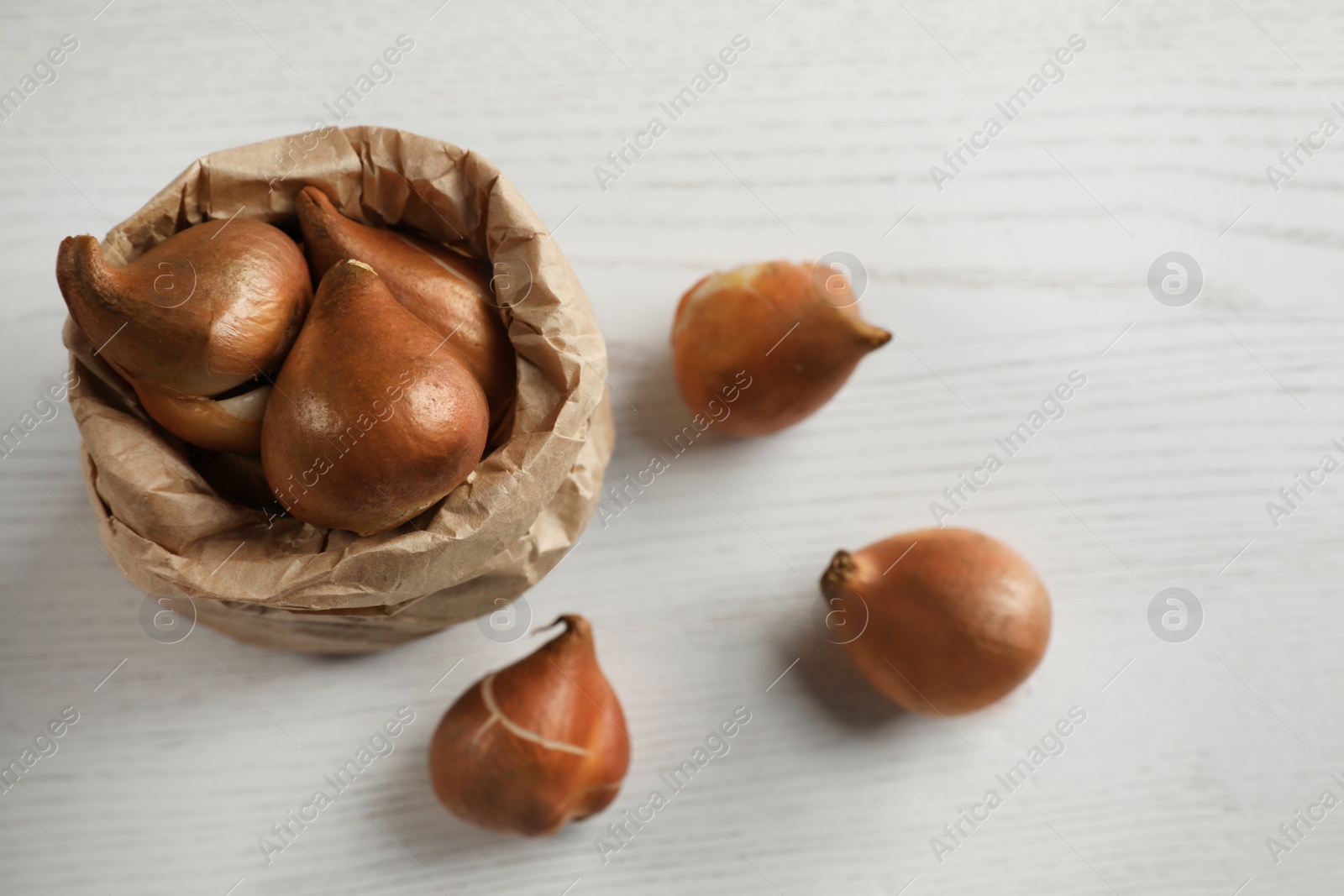 Photo of Paper bag with tulip bulbs on white wooden table, top view. Space for text