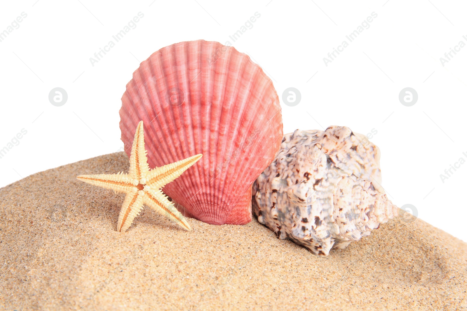 Photo of Sand with beautiful sea star and seashells isolated on white