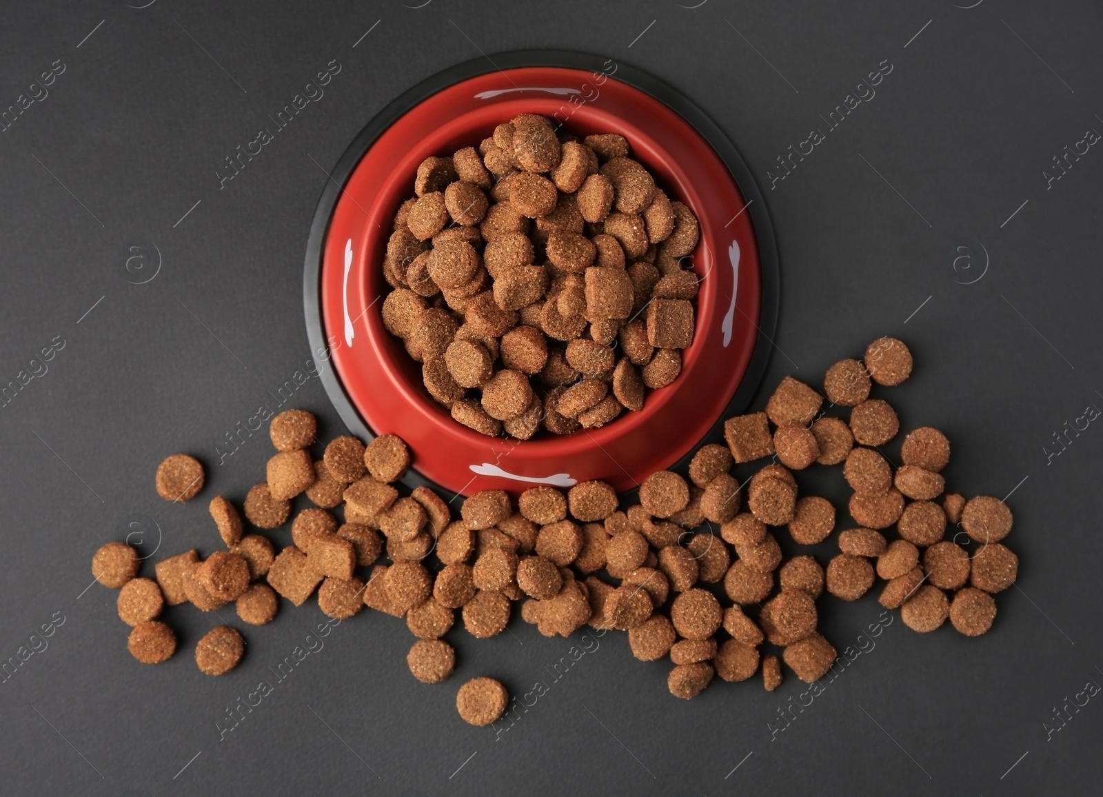 Photo of Dry dog food and feeding bowl on black background, flat lay