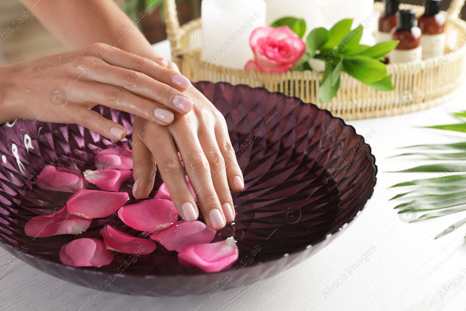 Photo of Woman soaking her hands in bowl of water and petals on table, closeup with space for text. Spa treatment