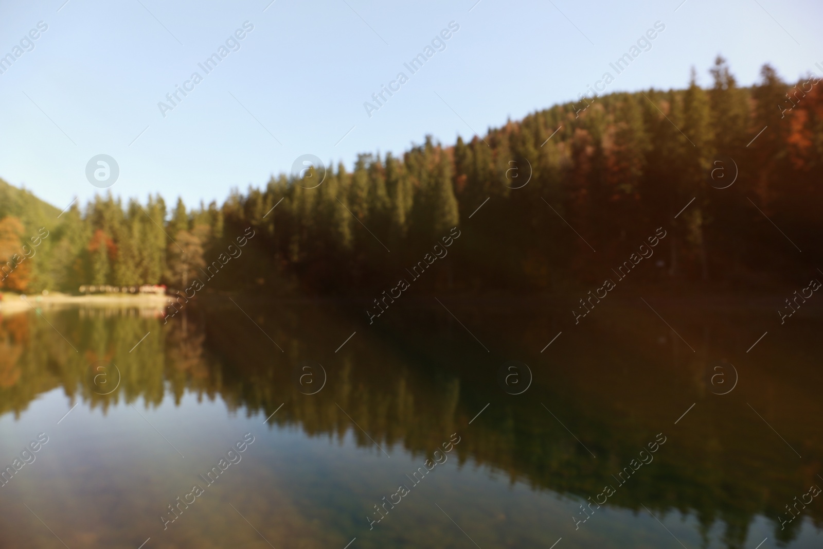 Photo of Beautiful mountain landscape with forest near water, blurred view