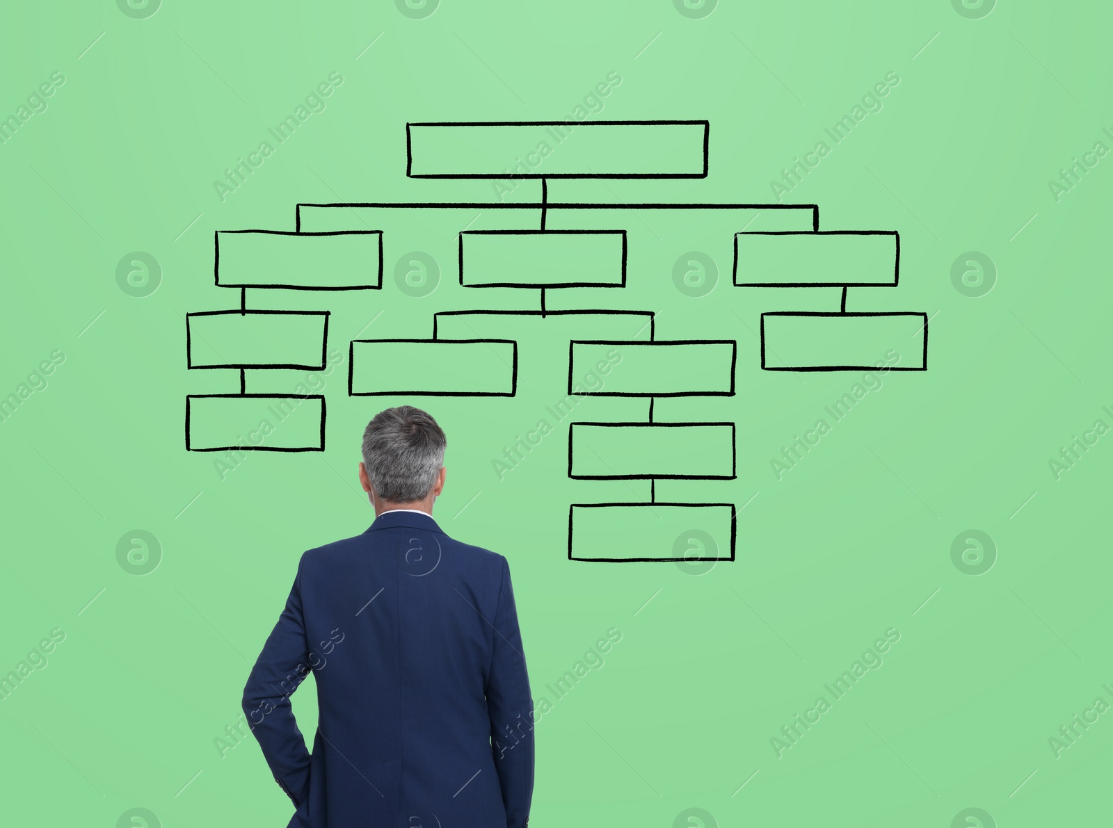 Image of Logic. Man standing in front of diagram on pale green background, back view