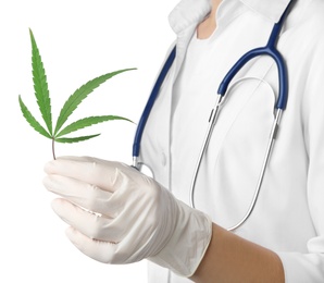 Doctor holding leaf of medical hemp on white background, closeup