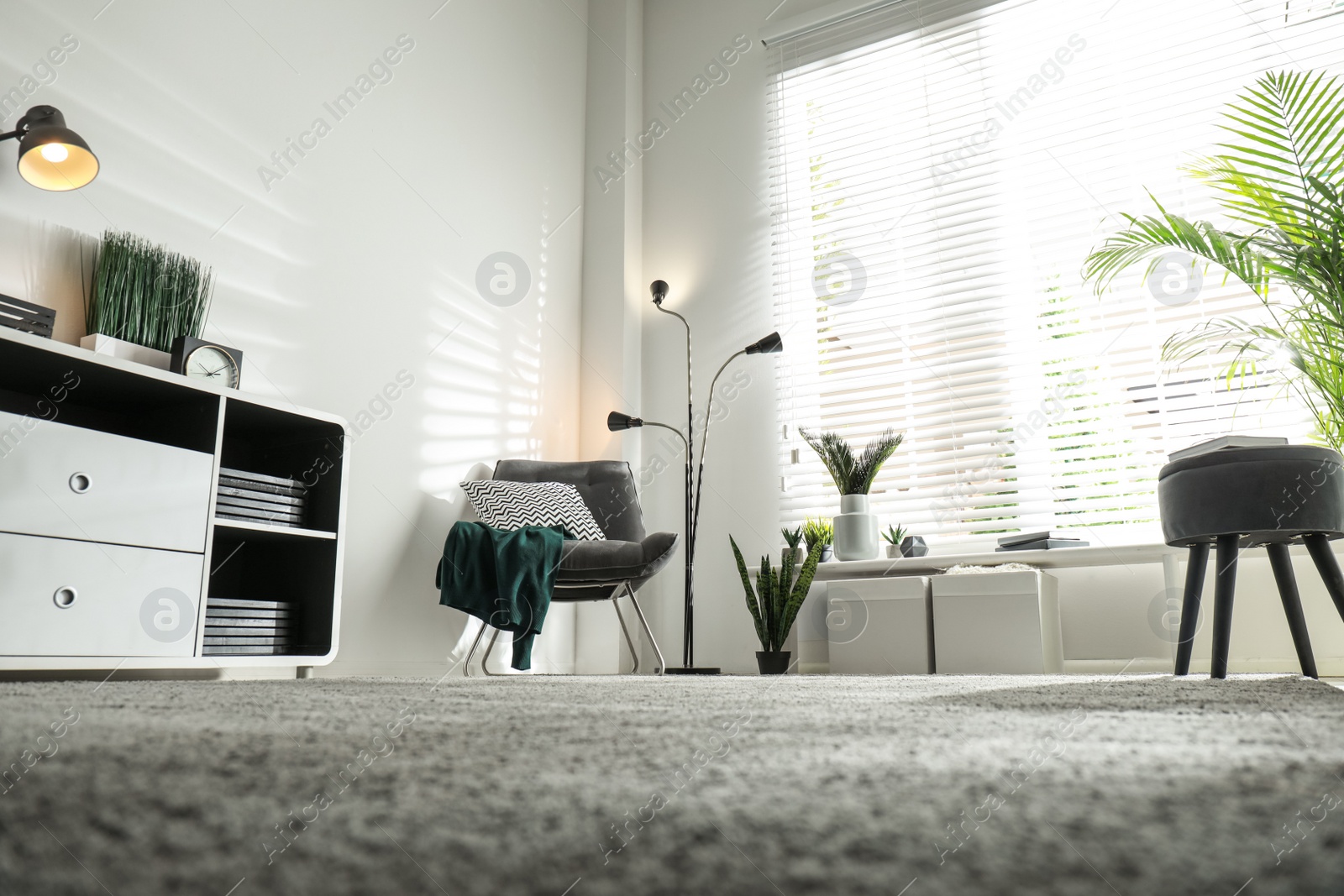 Photo of Beautiful tropical plants with lush leaves in stylish living room interior, low angle view