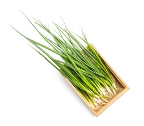 Photo of Crate with fresh green spring onions on white background, top view