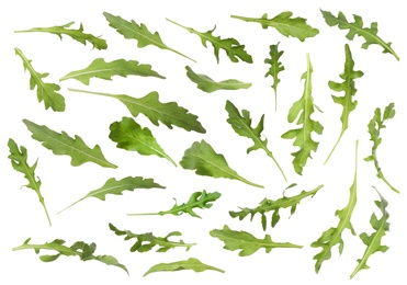 Image of Many green arugula leaves falling on white background