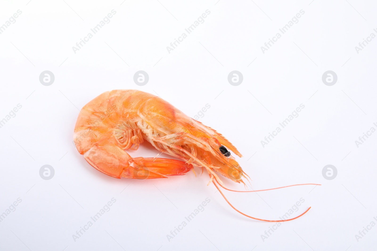 Photo of Delicious cooked whole shrimp isolated on white