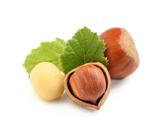 Tasty organic hazelnuts and leaves on white background