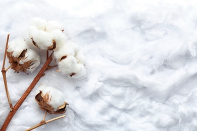 Photo of Branch with flowers on clean cotton, top view. Space for text