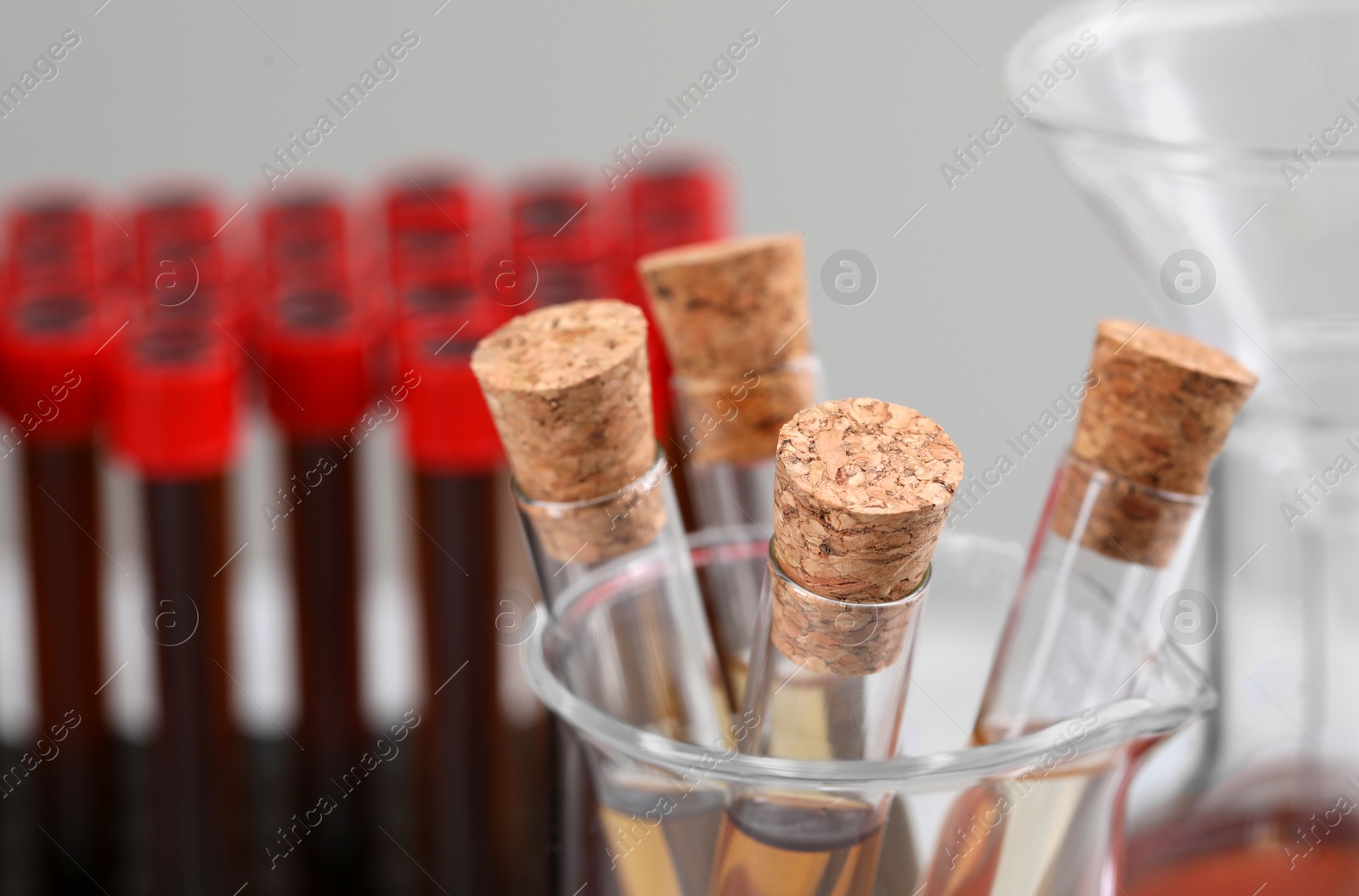 Photo of Test tubes with brown liquid, closeup. Space for text
