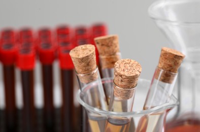 Photo of Test tubes with brown liquid, closeup. Space for text