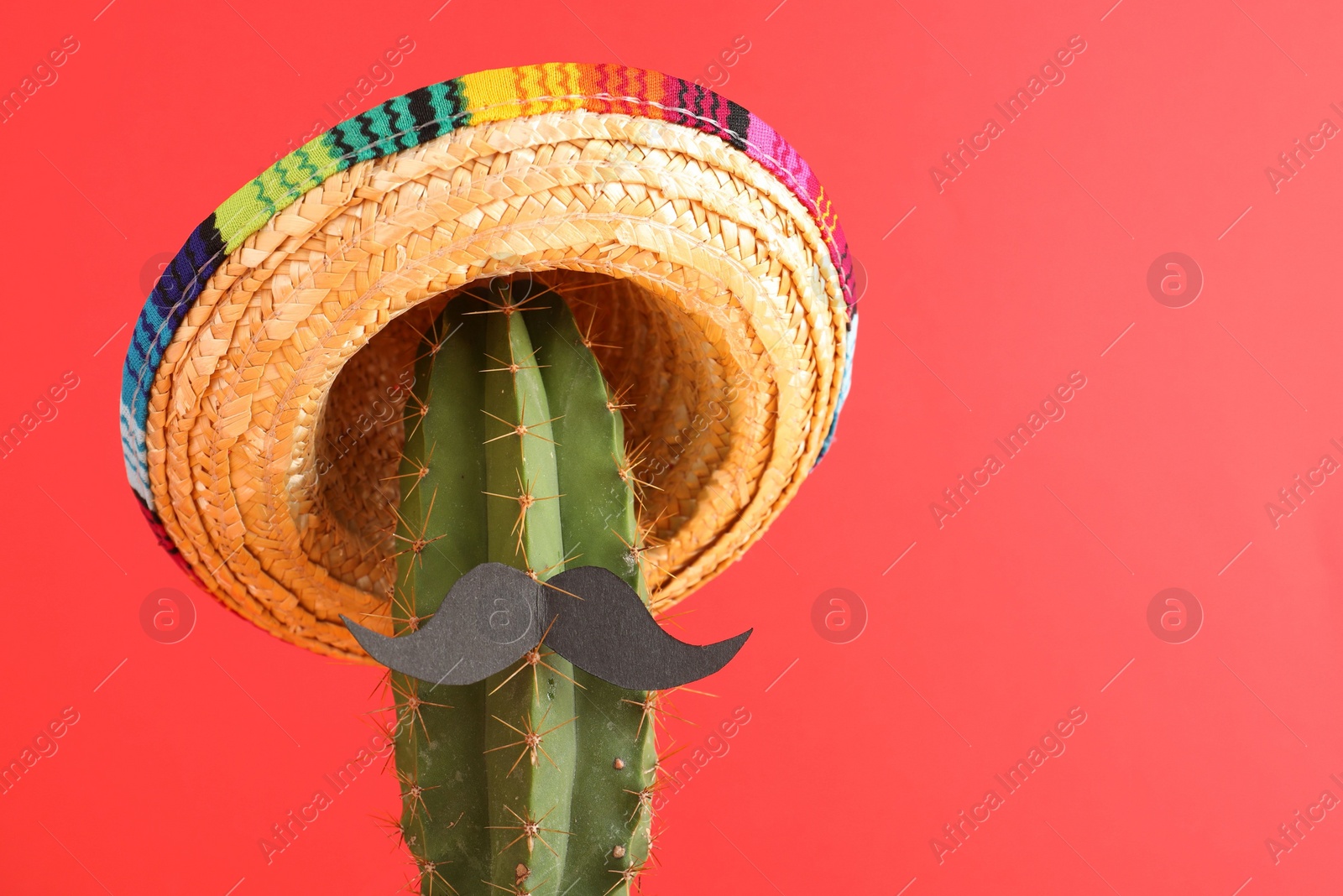 Photo of Cactus with Mexican sombrero hat and fake mustache on red background. Space for text