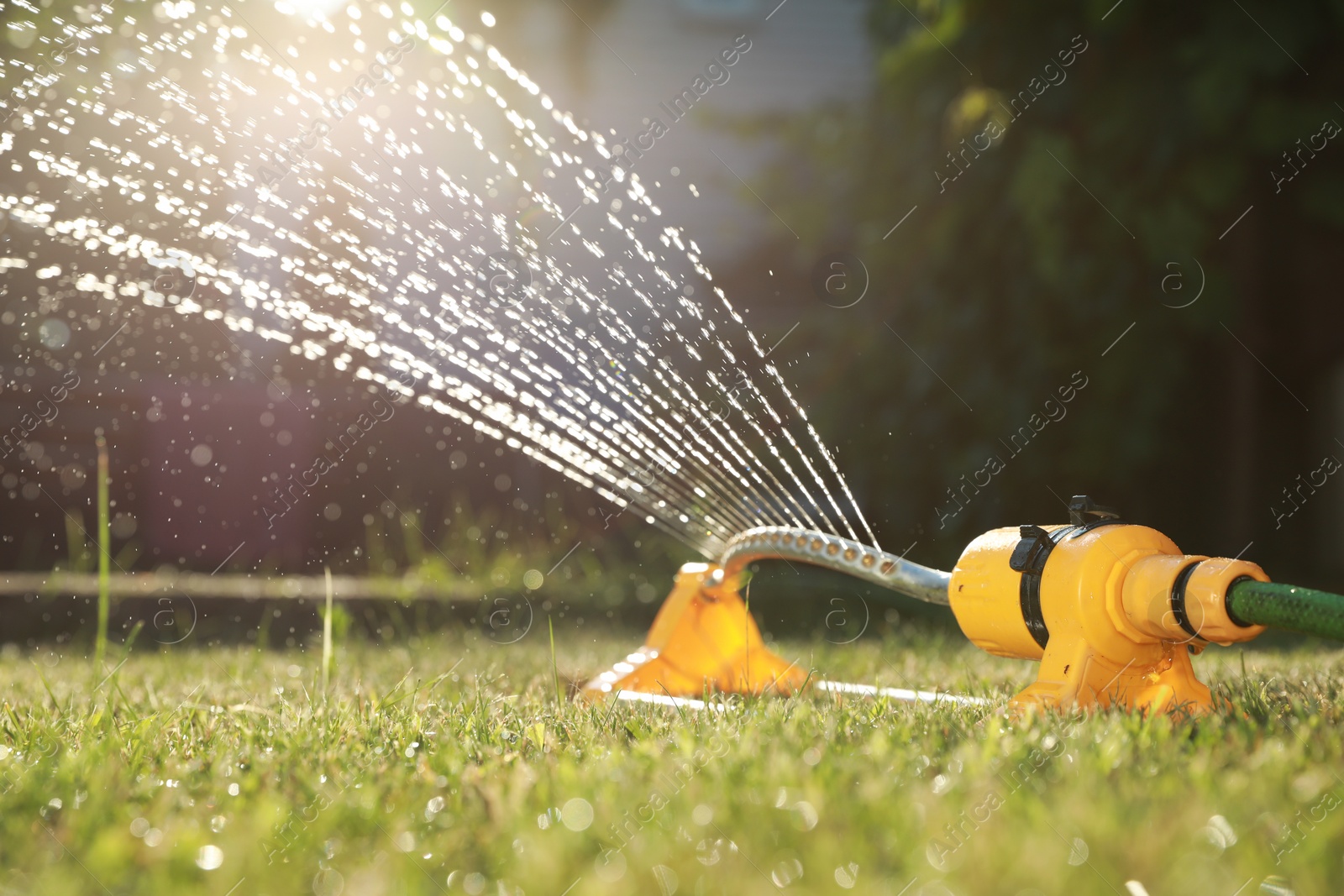 Photo of Automatic sprinkler watering green grass on sunny day in garden. Irrigation system