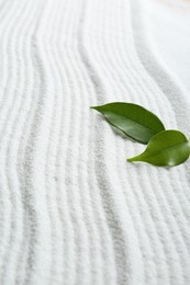 Photo of Zen rock garden. Wave pattern on white sand and green leaves, closeup
