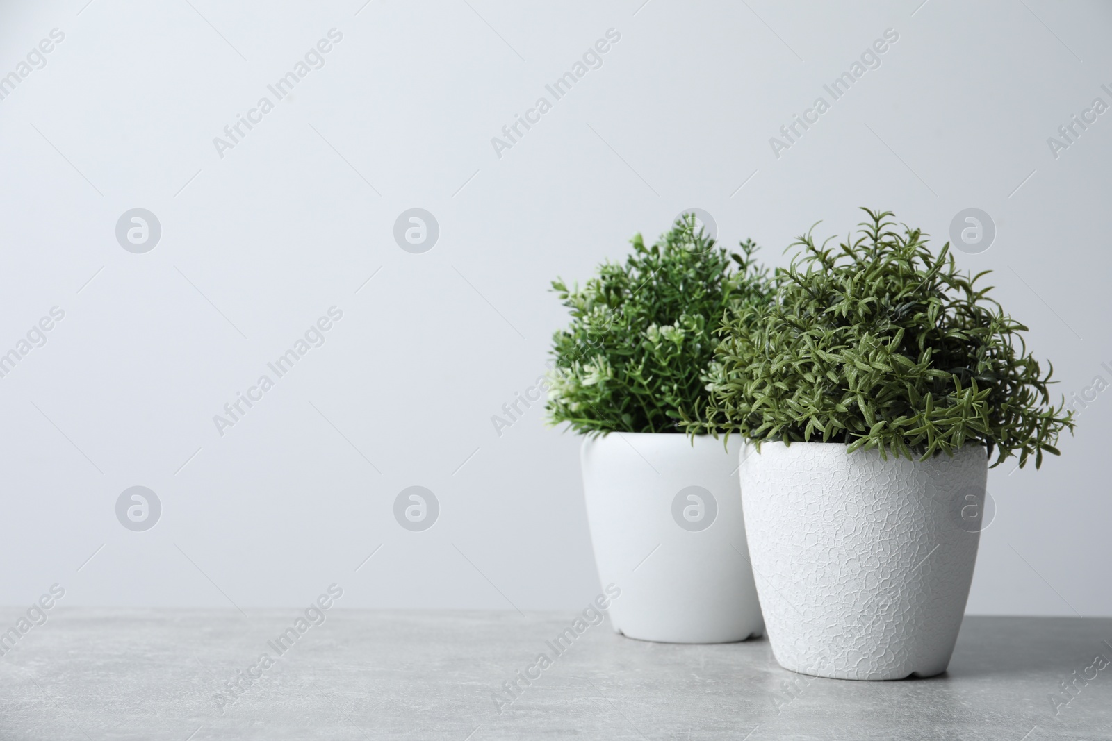 Photo of Aromatic potted herbs on light grey table, space for text
