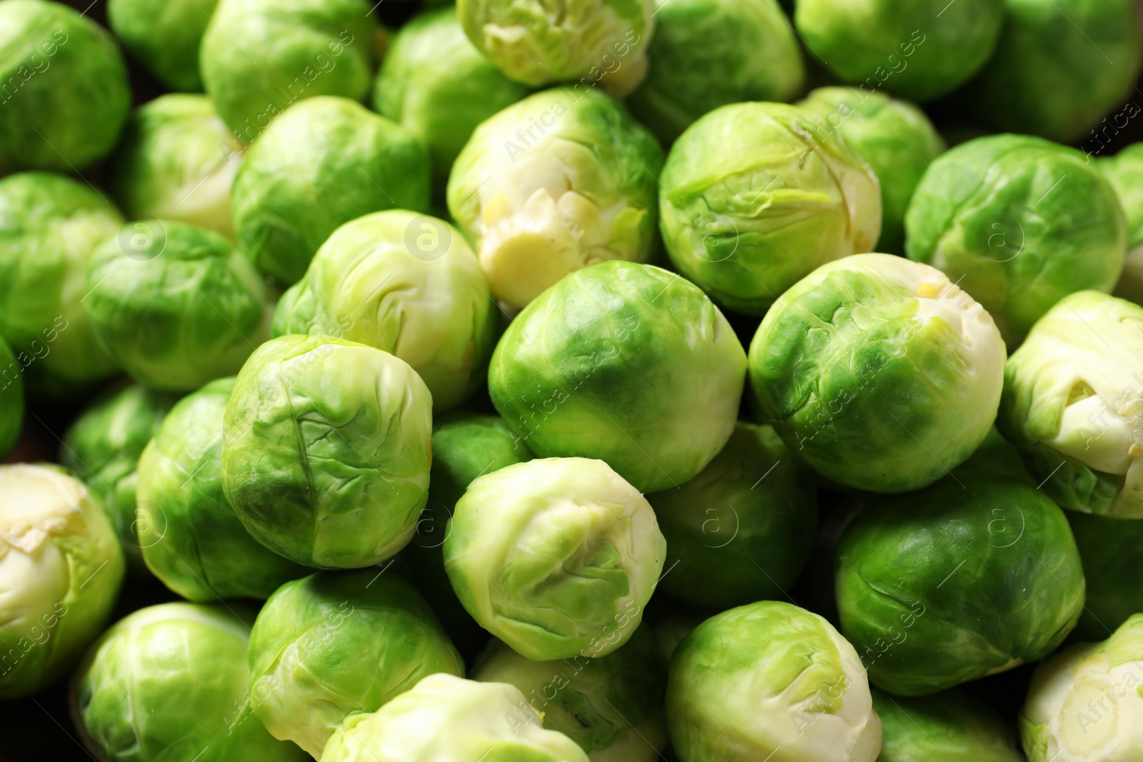 Photo of Tasty fresh Brussels sprouts as background, closeup