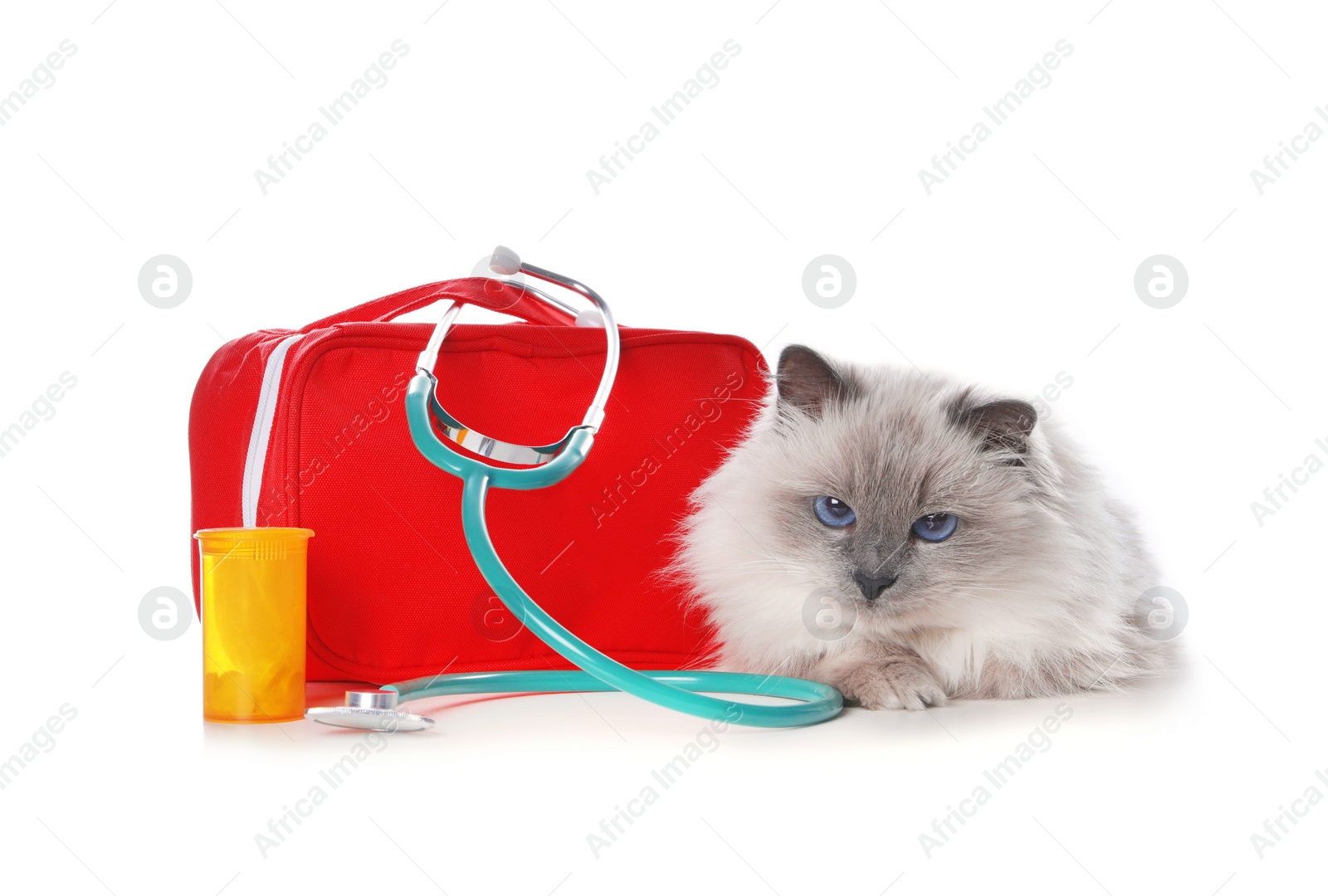 Photo of First aid kit and cute cat on white background. Animal care