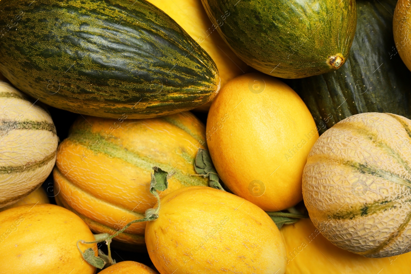 Photo of Fresh tasty ripe melons as background, top view