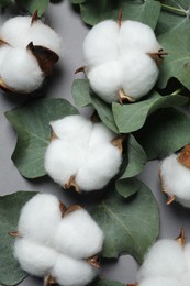 Cotton flowers and eucalyptus leaves on grey background, flat lay