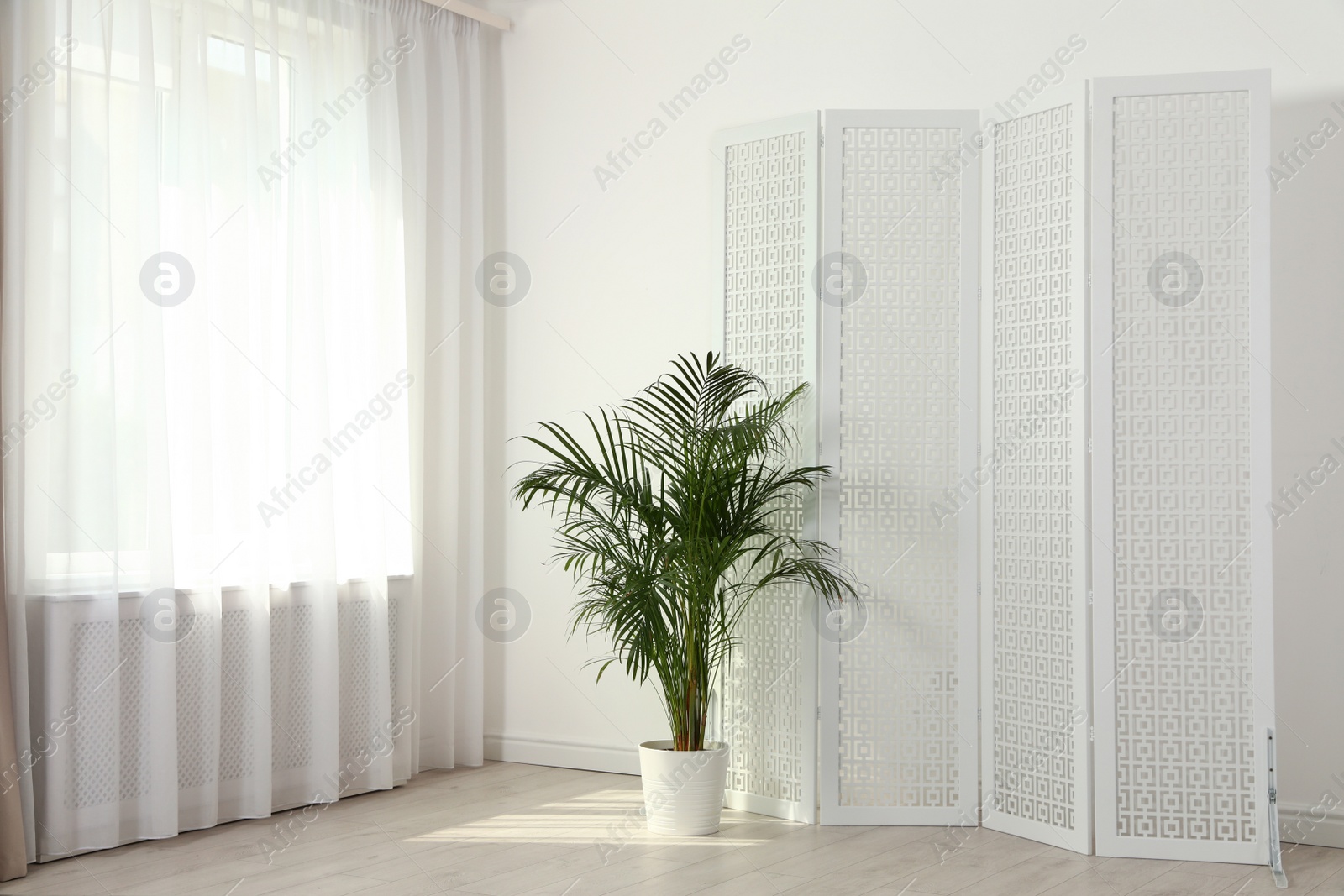 Photo of Modern folding screen in light spacious room