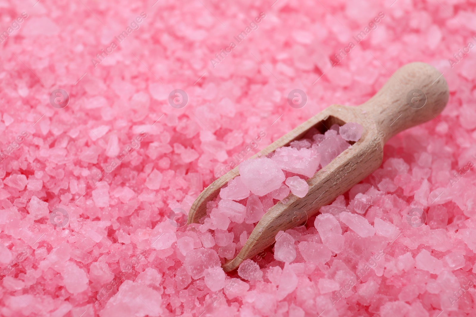 Photo of Scoop with pink sea salt, closeup view. Space for text