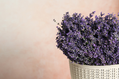 Photo of Beautiful lavender flowers in plastic basket against pink background, closeup. Space for text