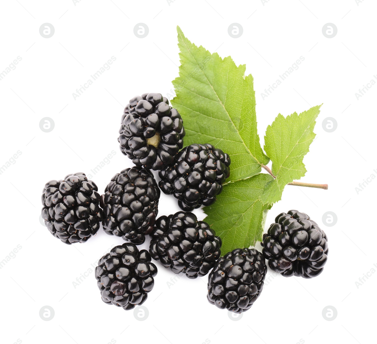 Photo of Tasty ripe blackberries and leaves on white background, top view