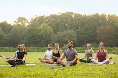 Photo of Group of people practicing yoga on mats outdoors. Lotus pose