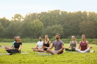 Group of people practicing yoga on mats outdoors. Lotus pose