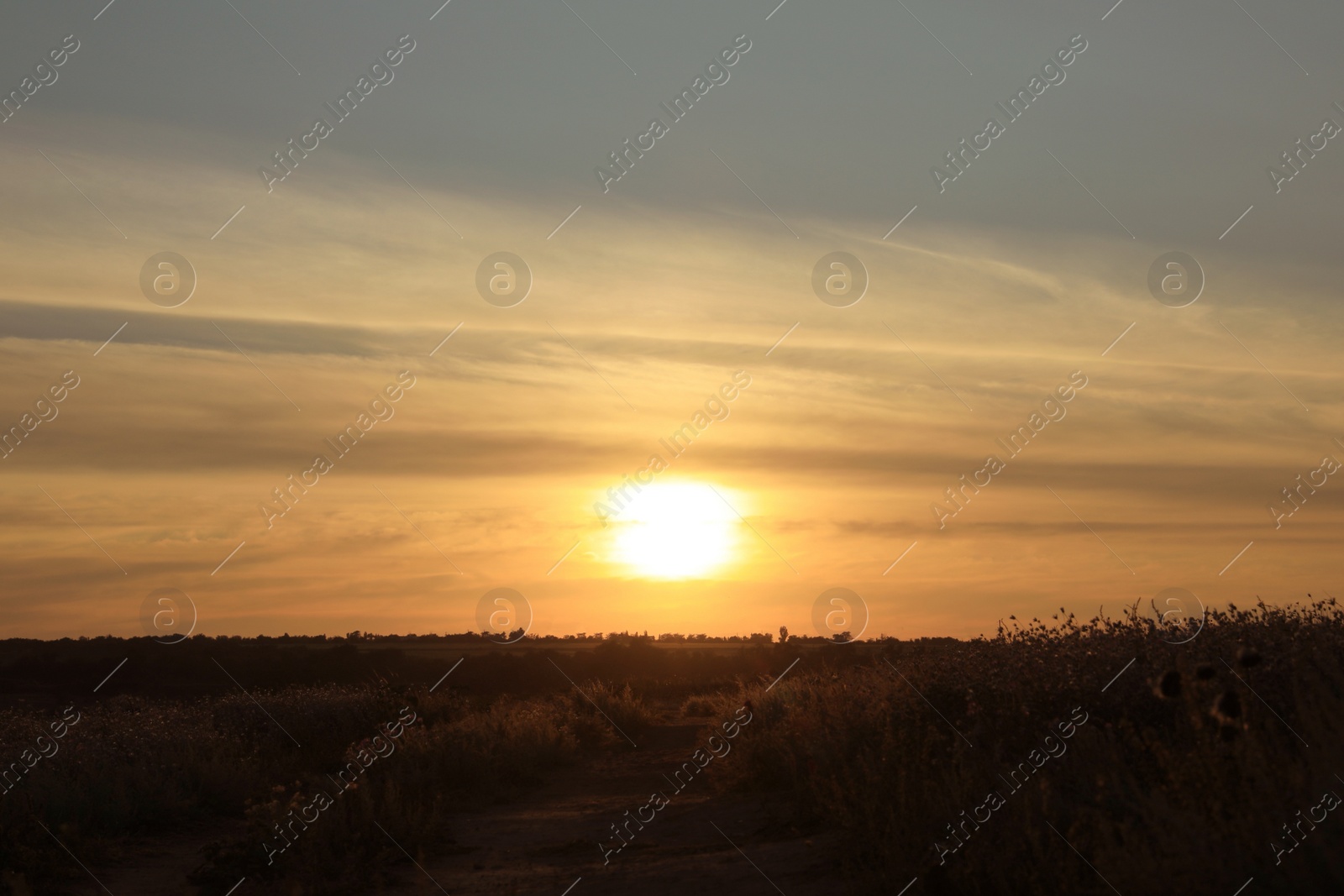 Photo of Picturesque view of beautiful countryside sunrise. Early morning landscape