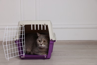 Travel with pet. Cute cat in carrier on floor near white wall indoors, space for text