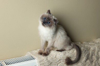 Photo of Cute Birman cat on radiator with knitted plaid indoors