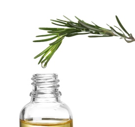 Photo of Rosemary branch with drop of essential oil over bottle against white background