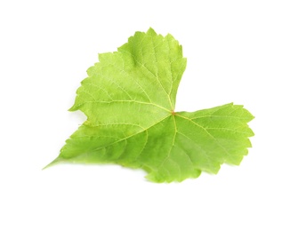 Fresh green grape leaf isolated on white