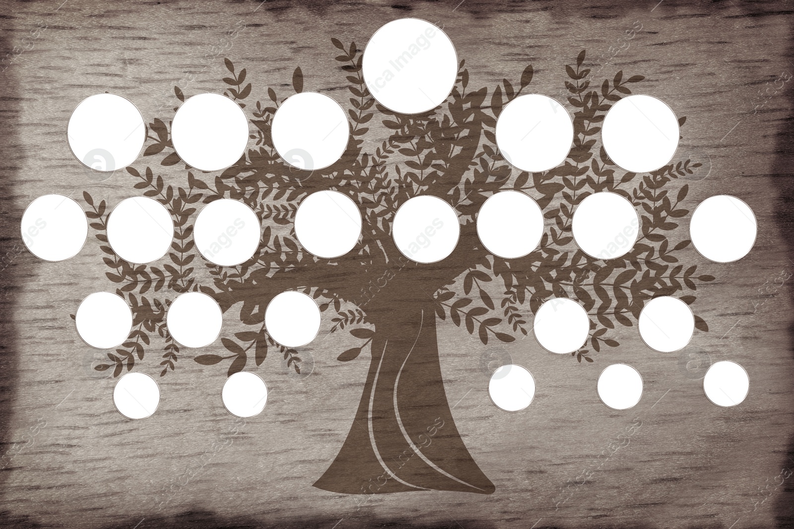 Illustration of Family tree with empty frames for photos in vintage style, illustration. Space for design