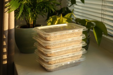 Photo of Growing microgreens. Containers with different seeds on white windowsill indoors