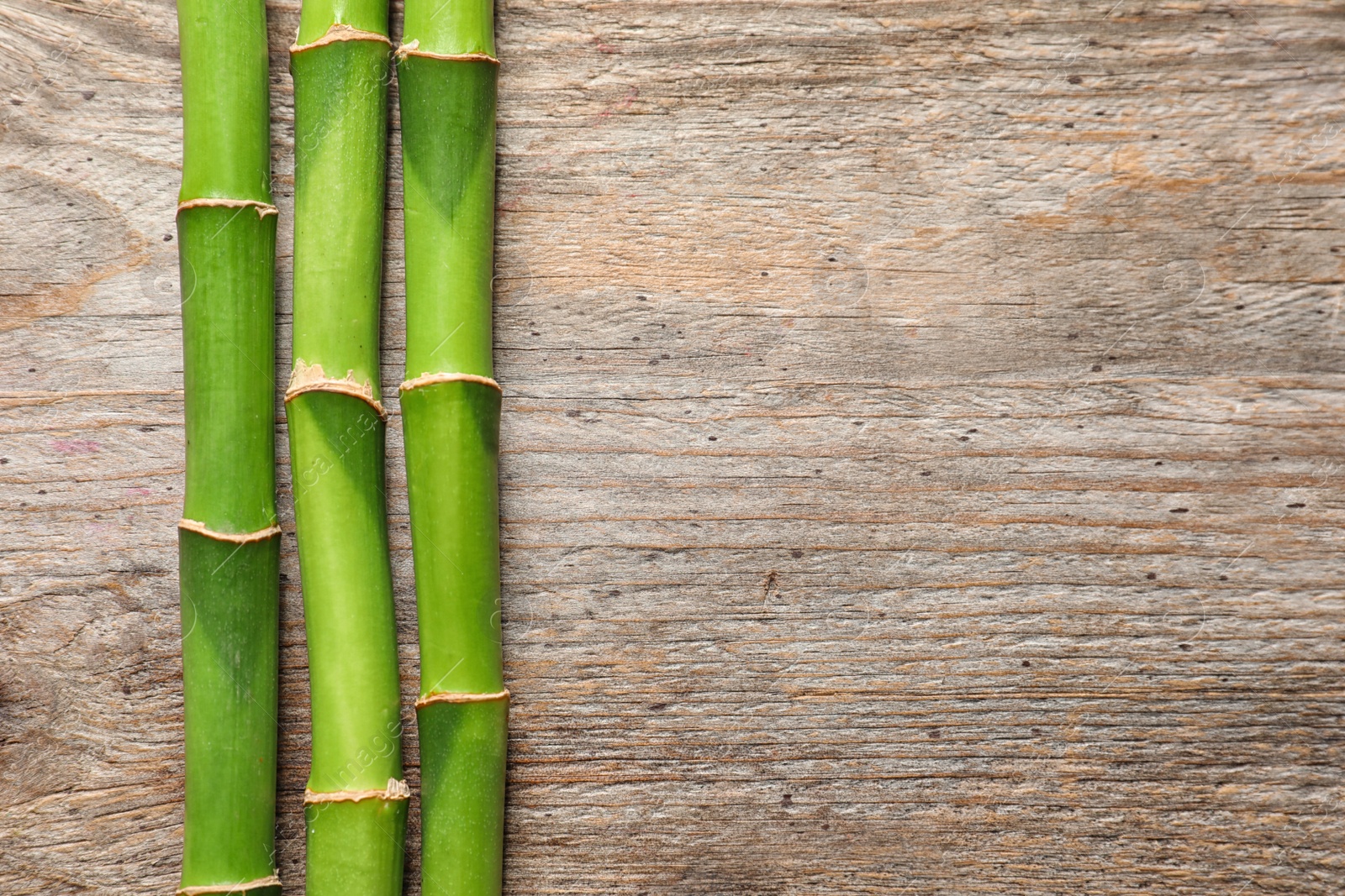 Photo of Green bamboo stems and space for text on wooden background, top view