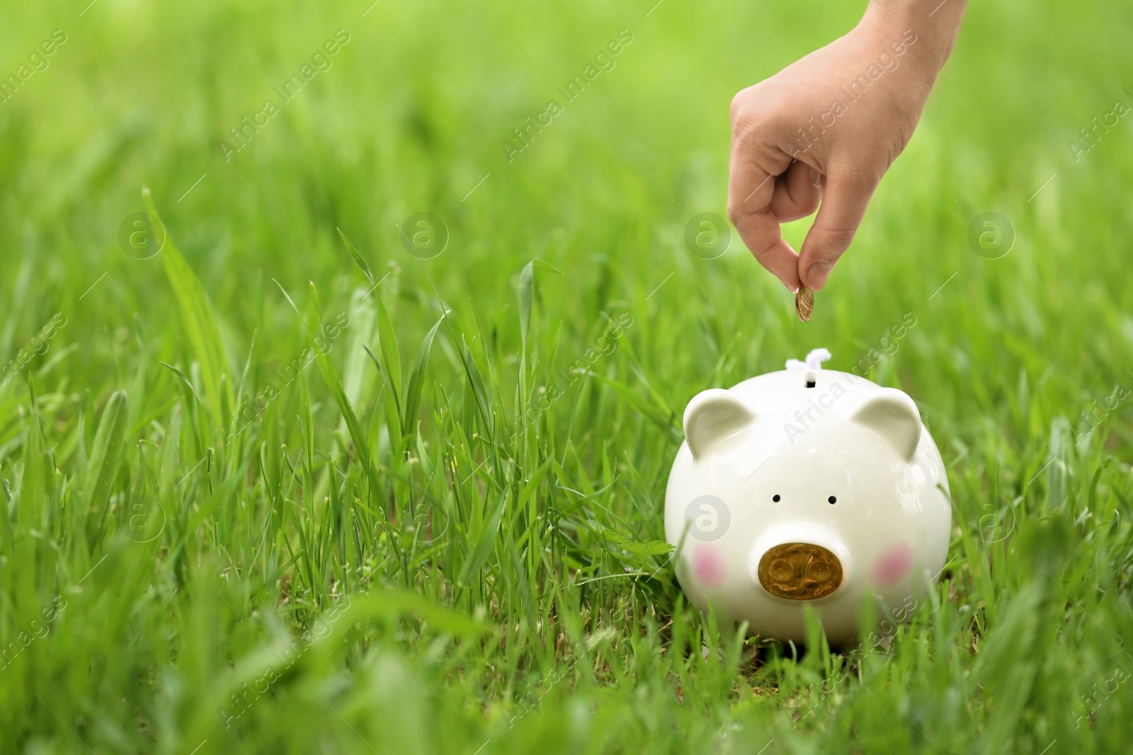 Photo of Young woman putting coin into piggy bank on green grass outdoors, closeup. Space for text