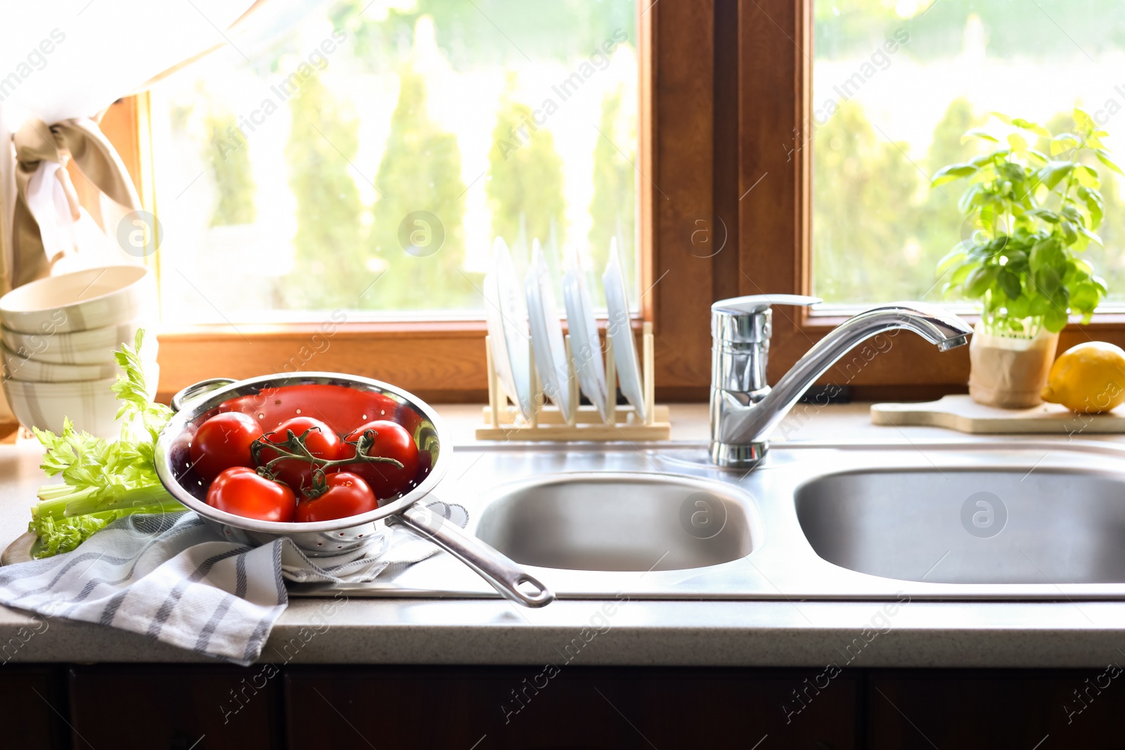 Photo of Fresh tomatoes and celery near sink in kitchen