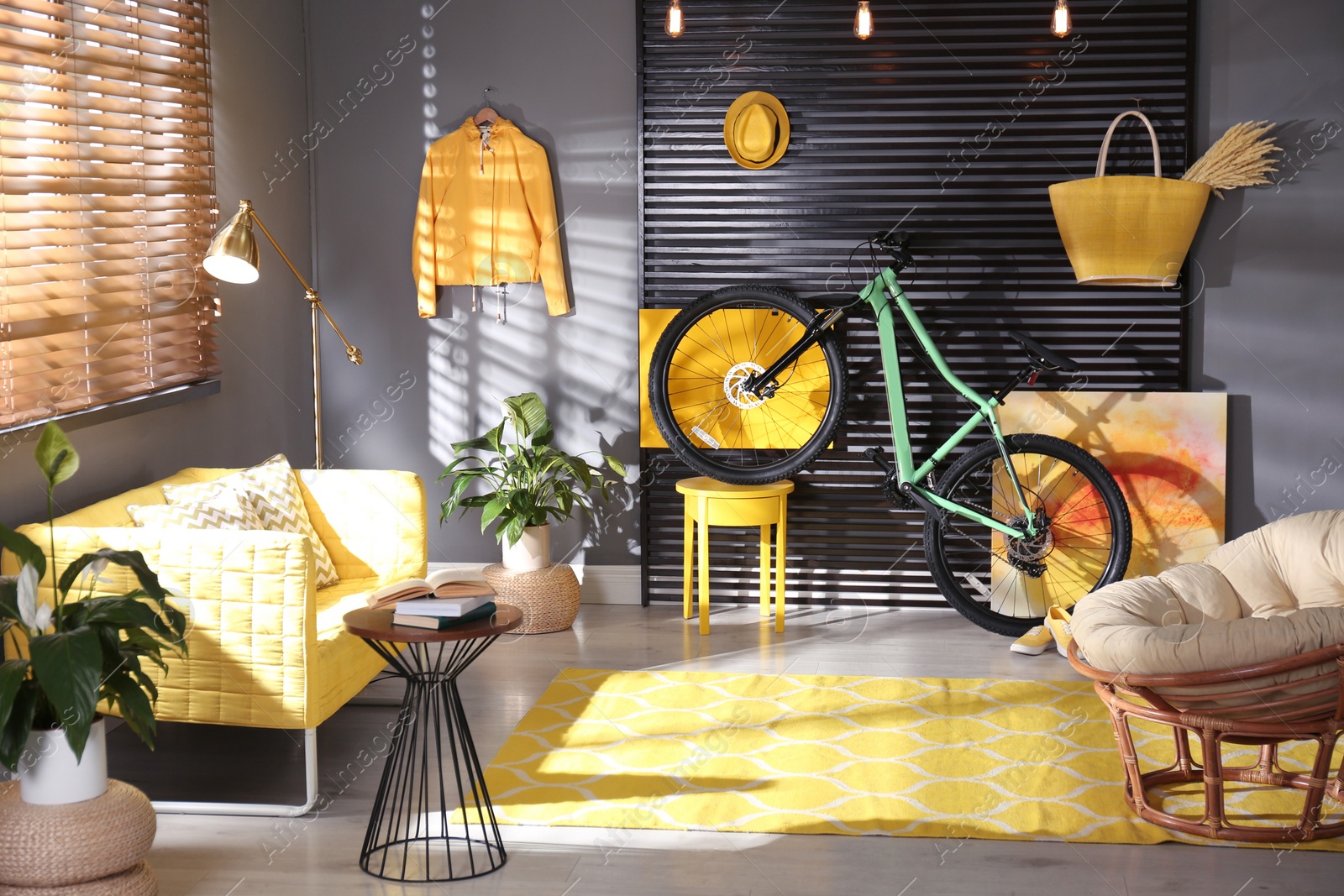 Photo of Modern bicycle and comfortable sofa in stylish living room interior