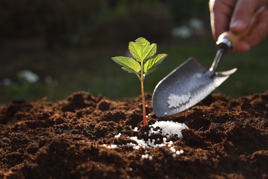 Man fertilizing soil with growing young sprout outdoors, selective focus