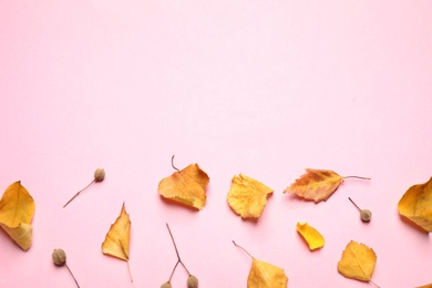 Flat lay composition with autumn leaves on pink background. Space for text