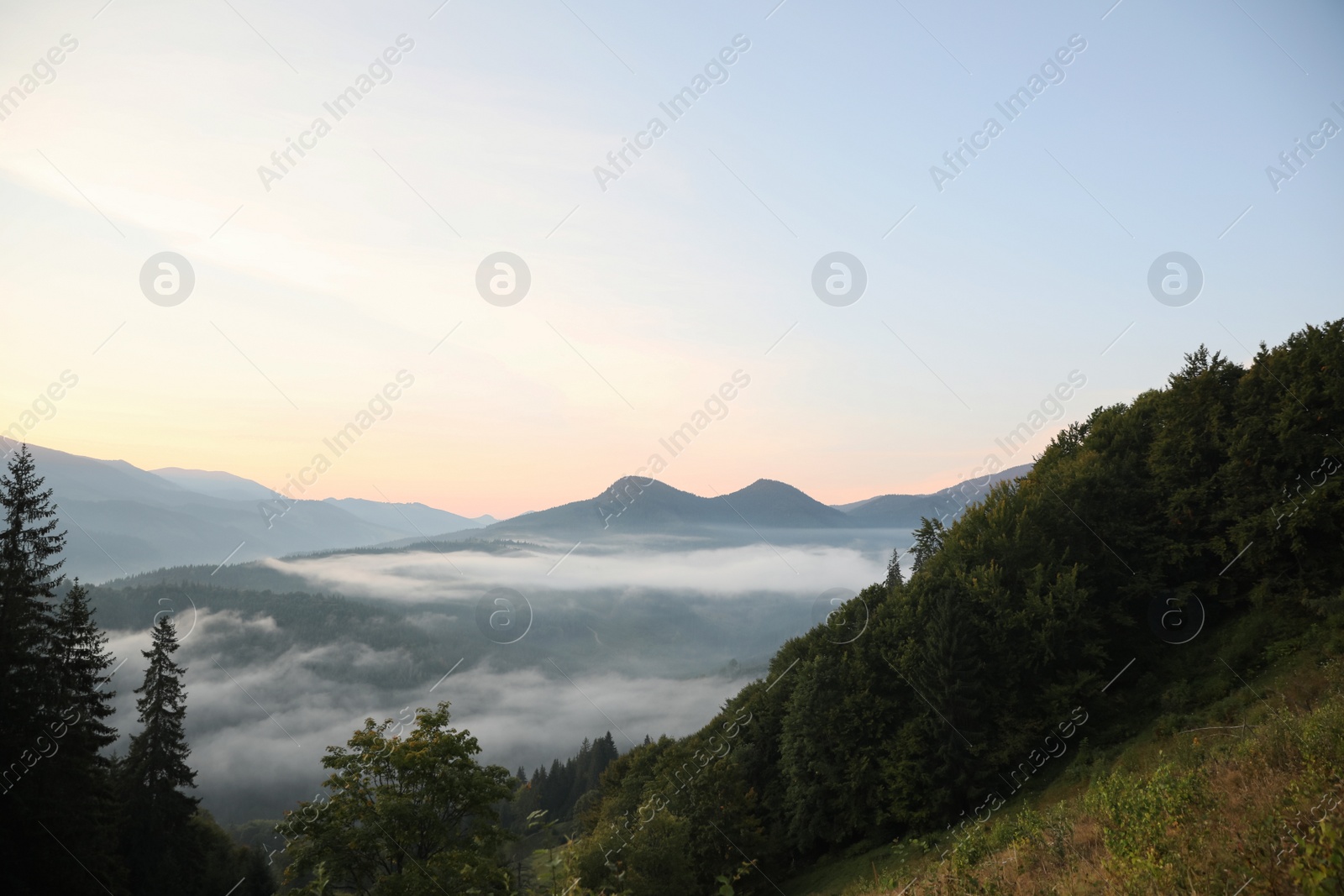 Photo of Beautiful view of mountains covered with fog
