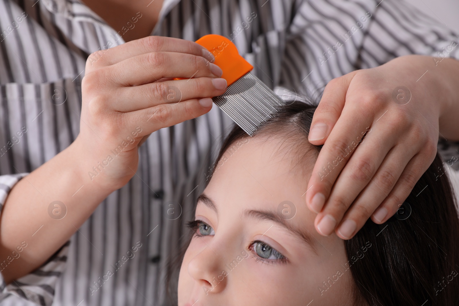 Photo of Mother using nit comb on her daughter's hair indoors. Anti lice treatment