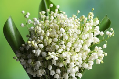 Photo of Beautiful lily of the valley flowers on blurred green background, closeup