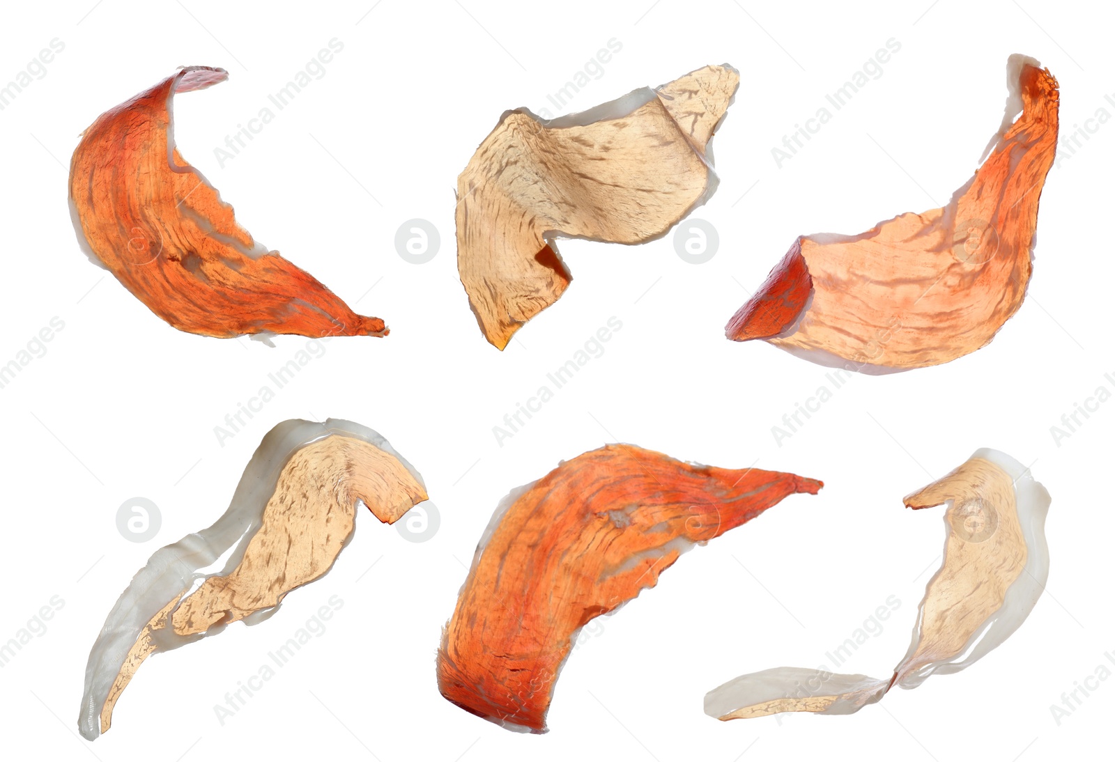 Image of Set of delicious sliced jamon on white background