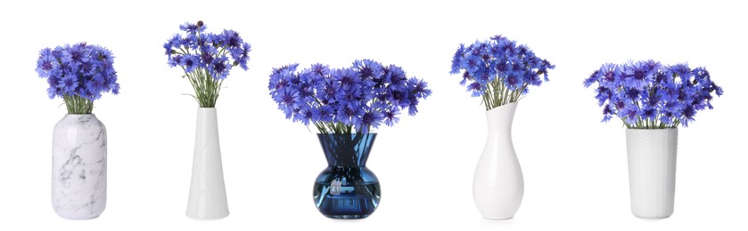 Image of Collage with beautiful bright cornflowers flowers in vases on white background. Banner design